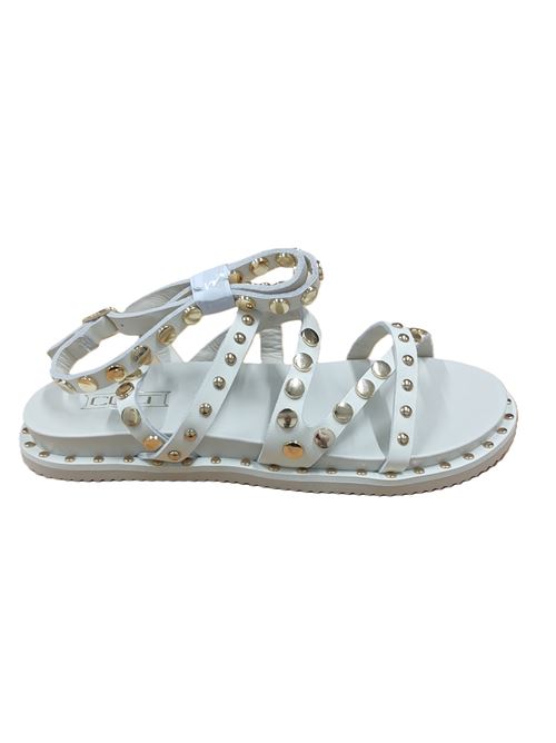 roshelle 3886 CULT | CLW388605OFF WHITE